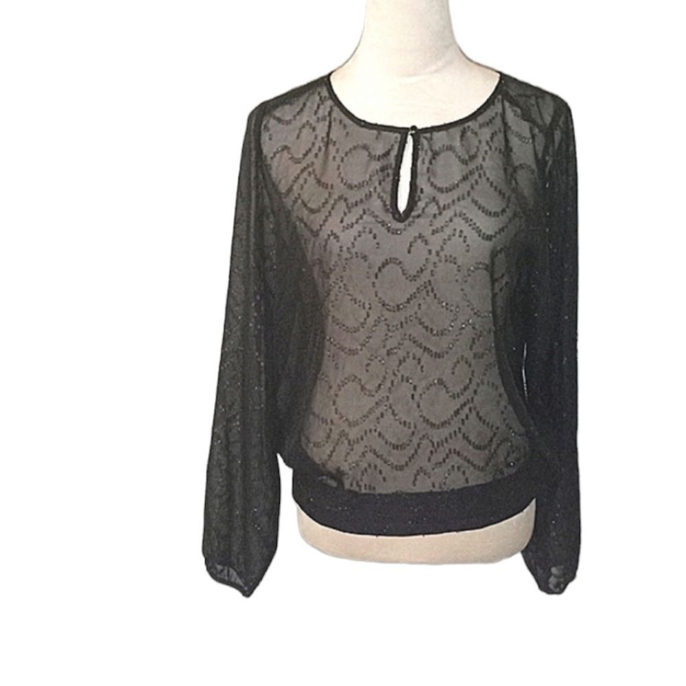 The Limited Black Shimmery Sheer Embroidered Long Sleeve Blouse Size M